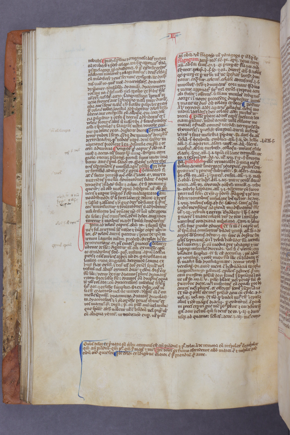 Folio 42 verso